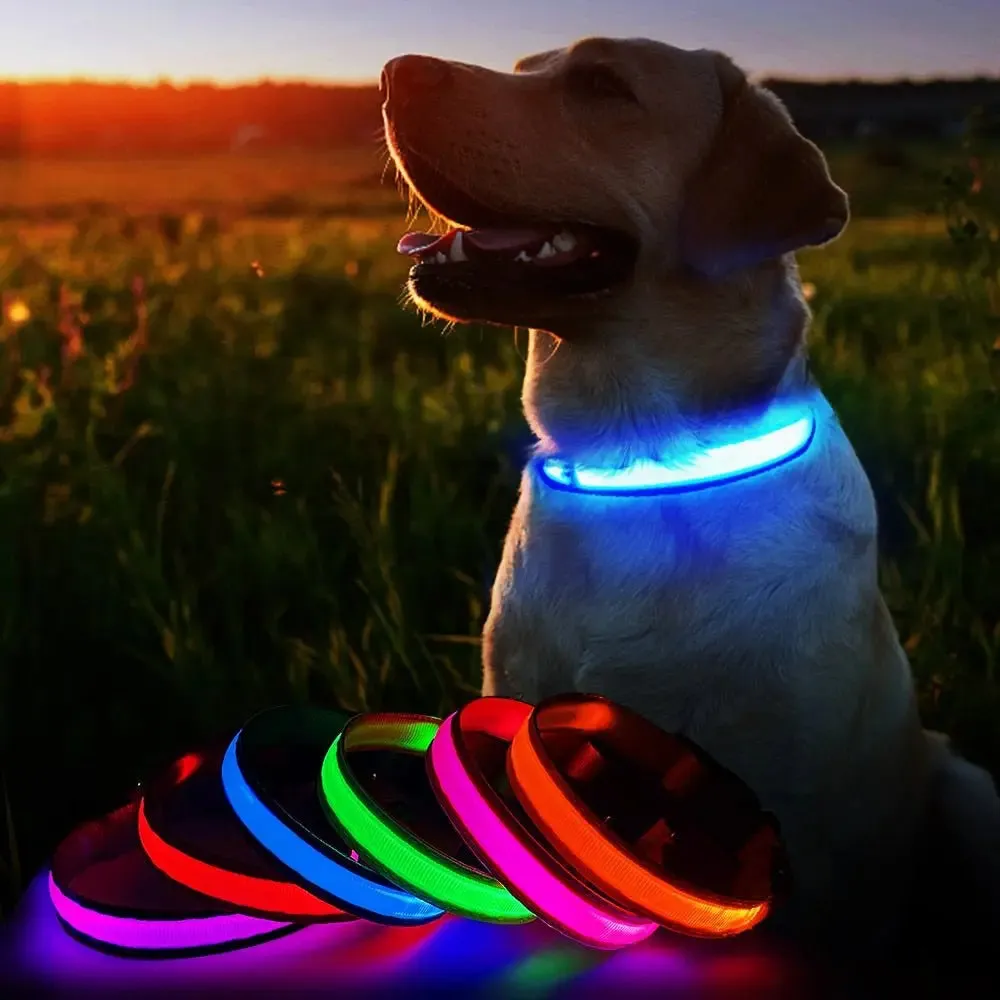 Anniepaw LED Luminous Waterproof Safety Night light Glow Necklace Dog Collar
