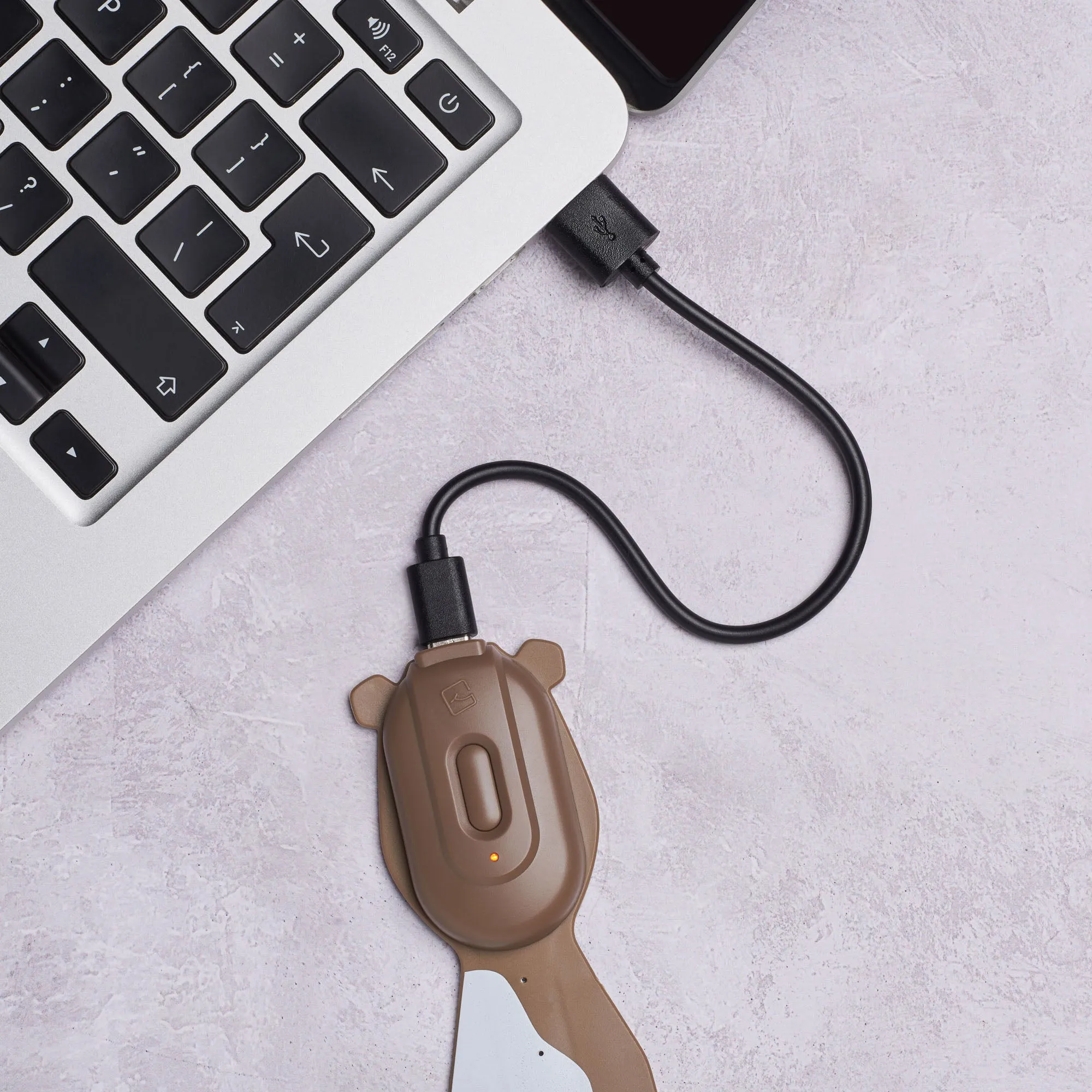 Flexilight Pals Rechargeable Book Light (Dog)